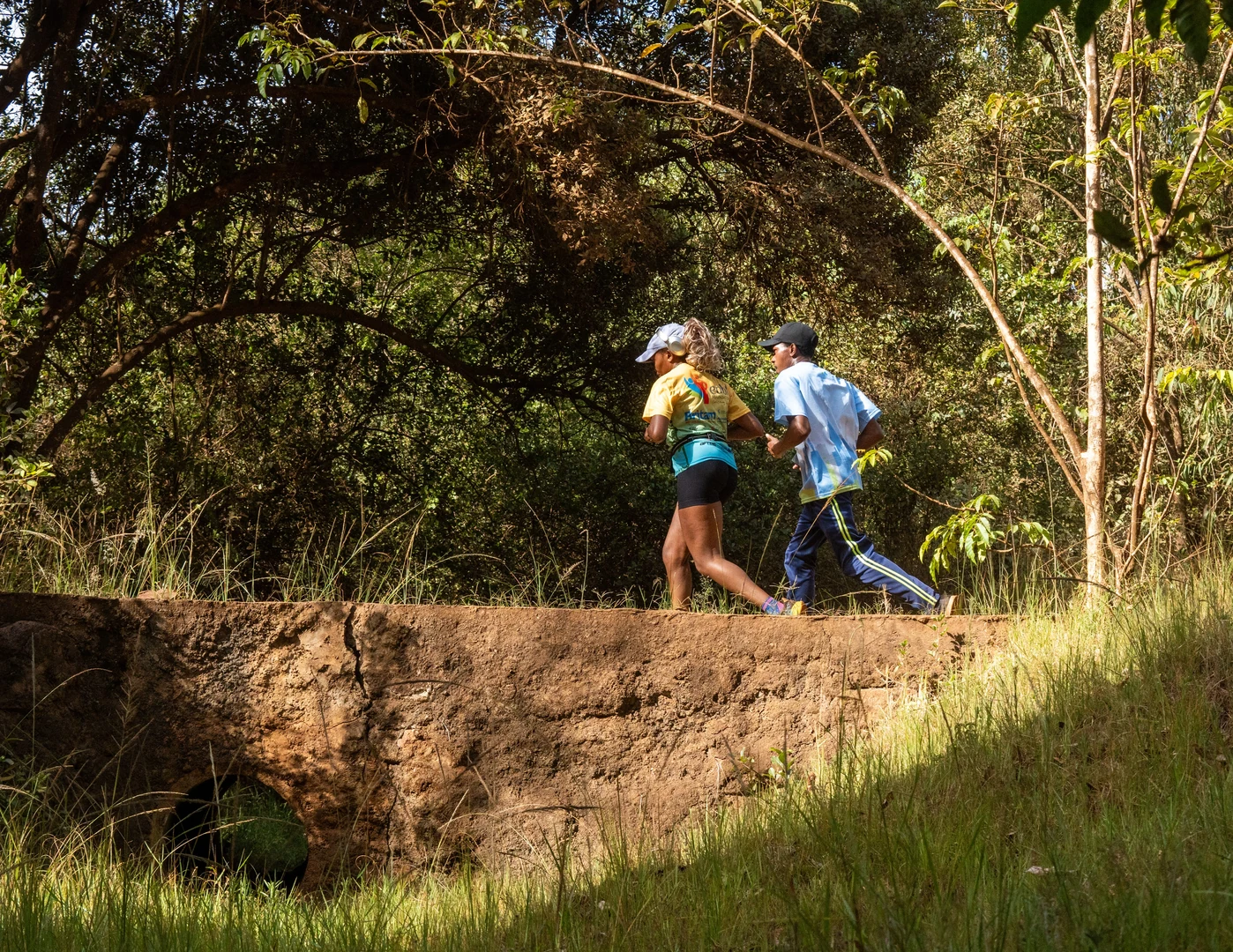 People moving along a forest trail in Nairobi